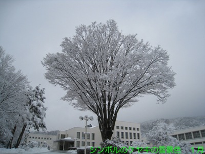 20130702_03.jpg