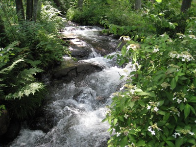 20130711_03.JPG