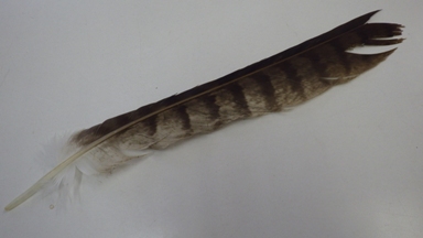 20130719_02.JPG