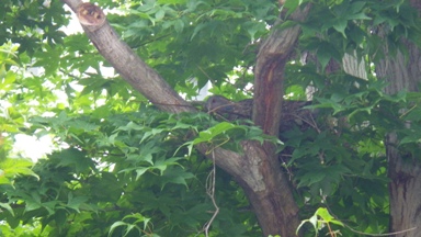 20130719_21.JPG