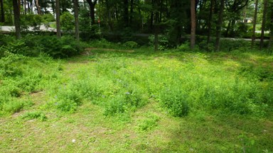20130809_11.JPG