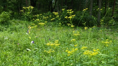 20130809_12.JPG