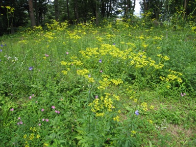 20130809_13.JPG