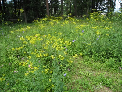 20130809_14.JPG