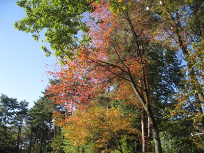 20131008_02.JPG