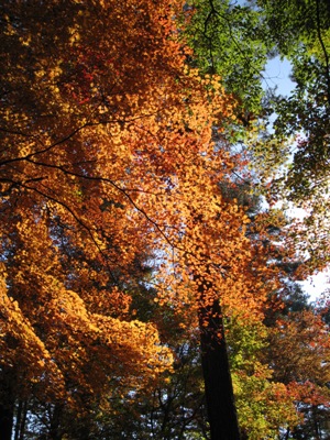 20131105_02.JPG