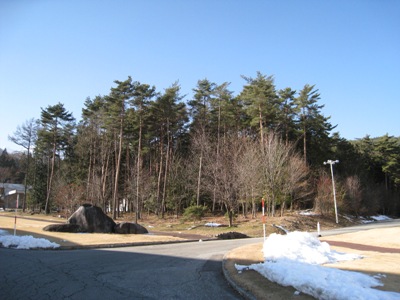 20131225_02.JPG