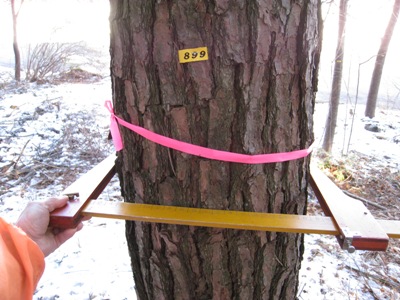 20131225_03.JPG