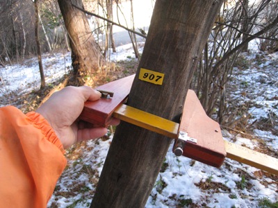 20131225_04.JPG
