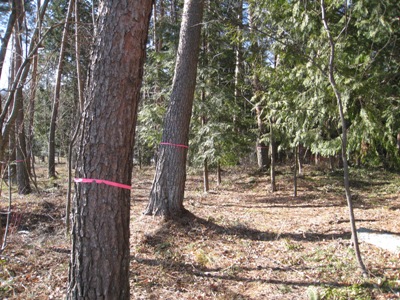 20131225_05.JPG