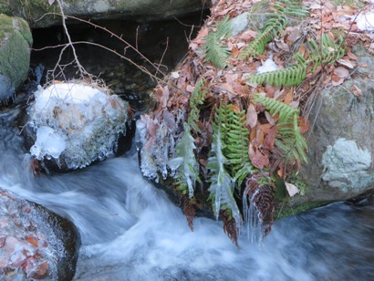 20131227_02.jp.JPG