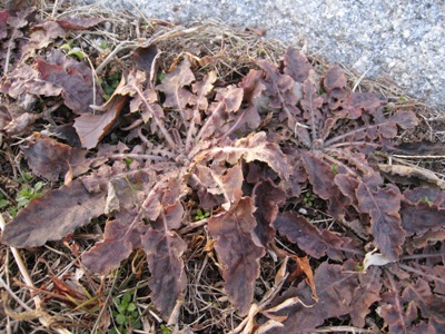 20140107_05.JPG