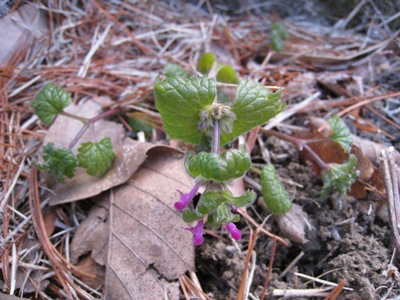 20140107_06.JPG
