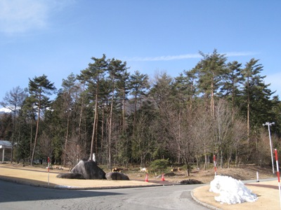 20140128_02.JPG
