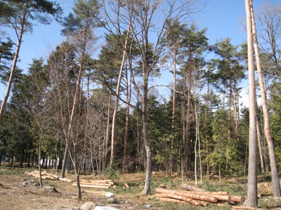 20140128_03.JPG