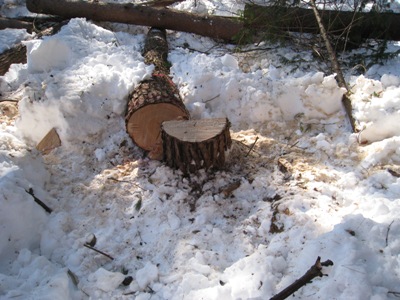 20140227_03.JPG