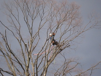 20140326_04.JPG