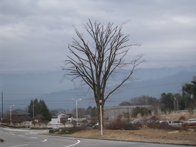 20140326_07.JPG