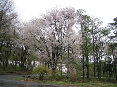 20140430_02.JPG
