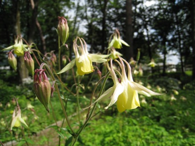 20140609_04.JPG