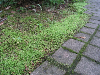 20140612_02.JPG