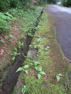 20140612_03.JPG
