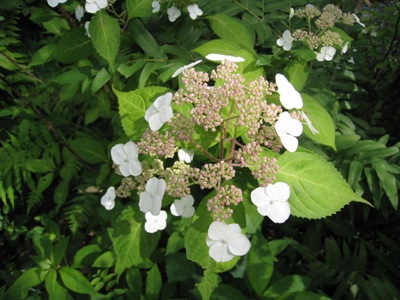 20140624_02.JPG