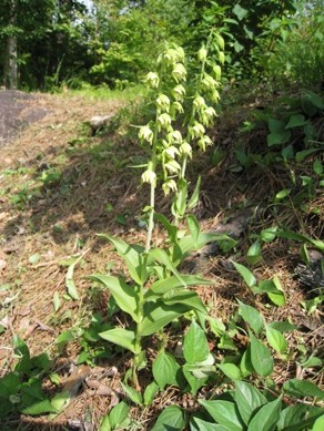 20140704_01.JPG