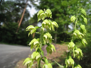 20140704_02.JPG