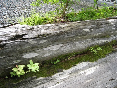 20140704_14.JPG