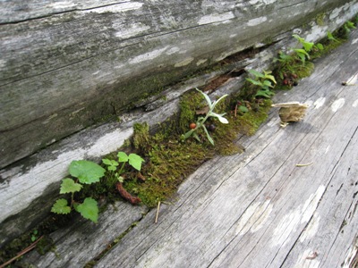 20140704_15.JPG