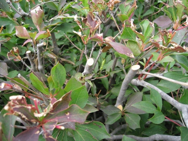 20140715_02.JPG