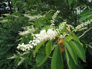 20140715_12.JPG
