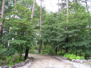 20140715_13.JPG