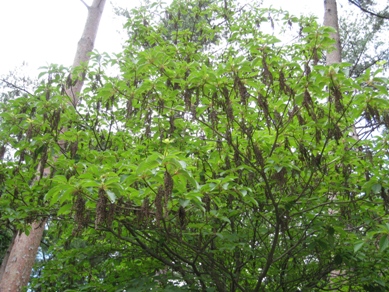 20140715_14.JPG