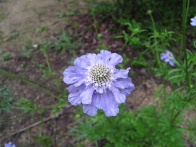 20140715_22.JPG
