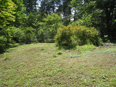 20140725_03.JPG