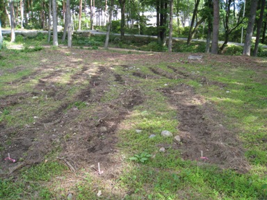 20140725_12-20090615.jpg