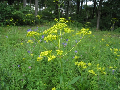 20140805_13.JPG