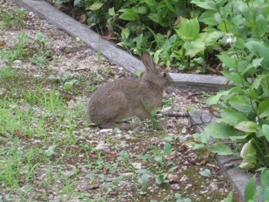 20140805_22.JPG