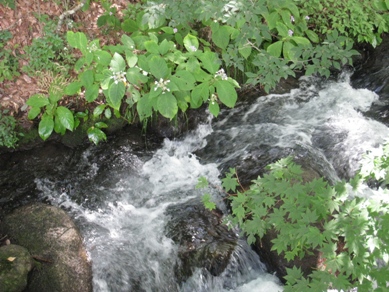20140805_42.JPG