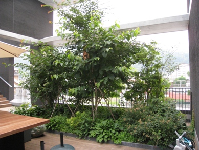 20140812_14.jpg