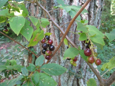 20140901_02.JPG