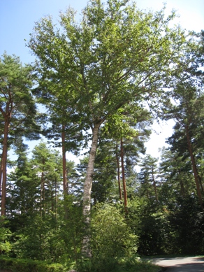 20140919_12.jpg