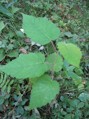 20140919_13.jpg