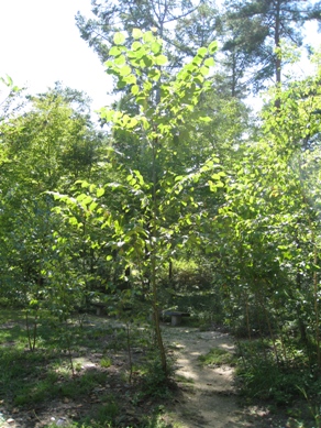 20140919_14.jpg
