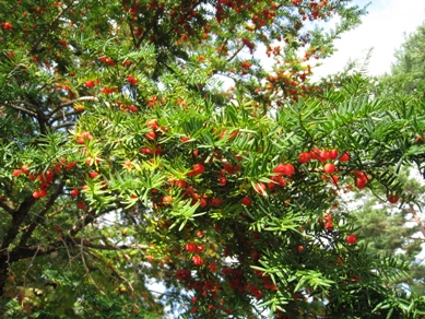 20141002_11.JPG