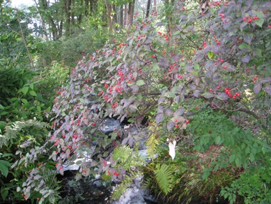 20141002_22.JPG