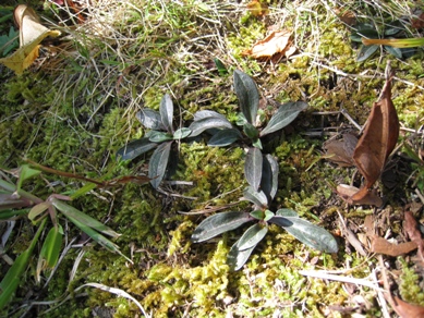 20141008_02.JPG