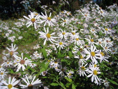 20141008_12.JPG
